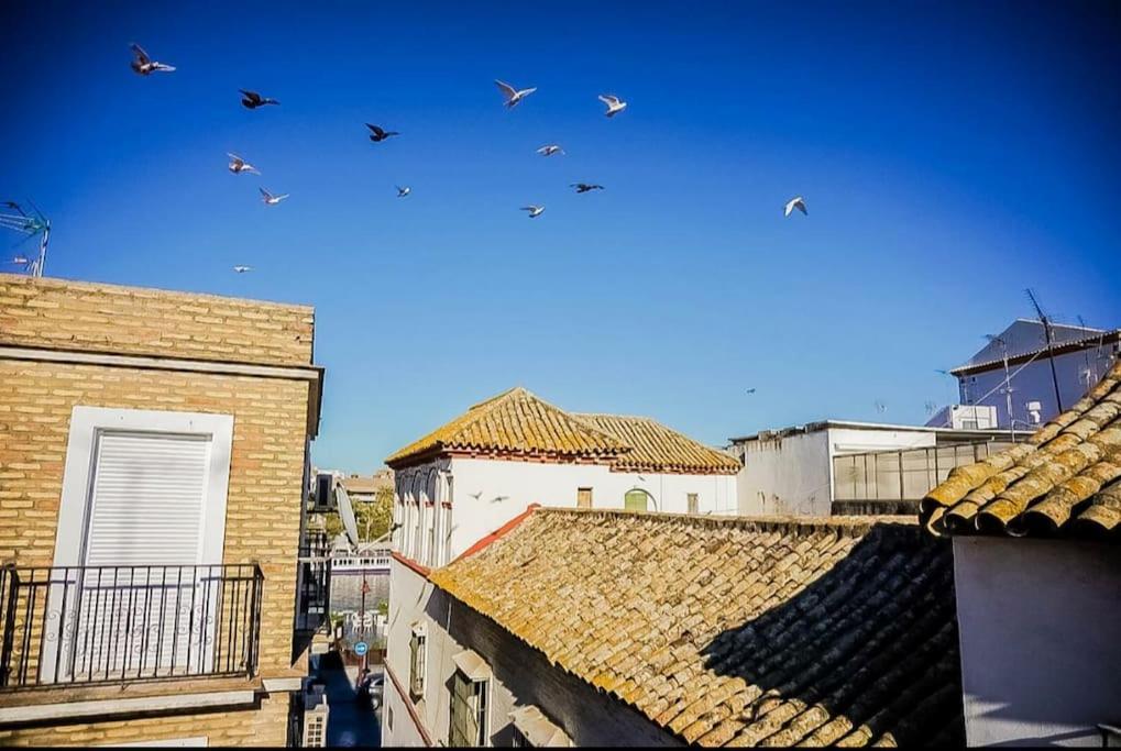 Ferienwohnung Luminoso Apartamento Centro Triana Sevilla Exterior foto
